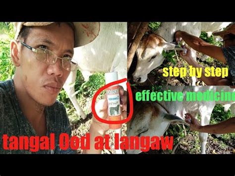 PINAKA MABISANG GAMOT SA SUGAT .